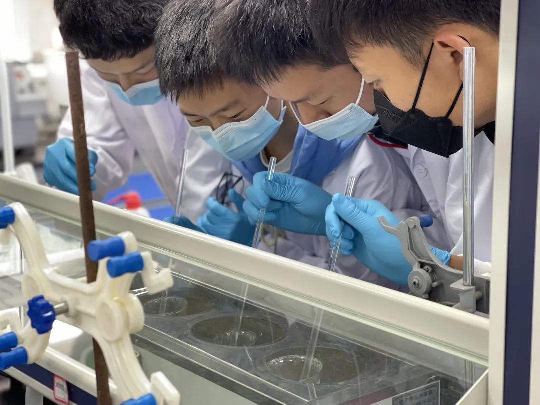 树德协进中学喜报,树德协进高中位次