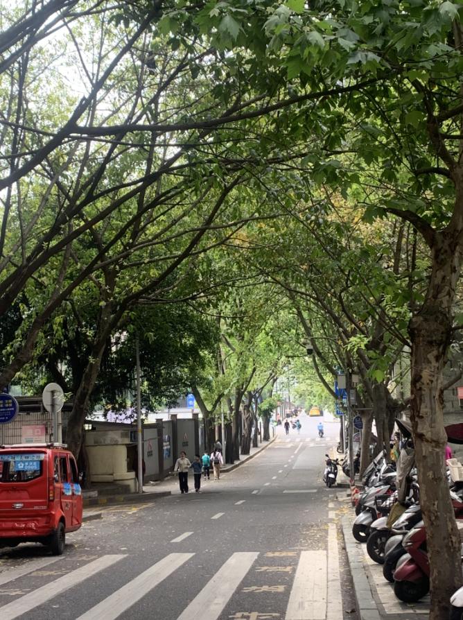 重庆江北大坪村,重庆大坪城中村