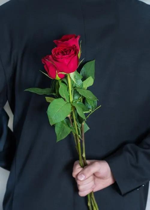 520浪漫玫瑰花壁纸,红玫瑰花壁纸大图