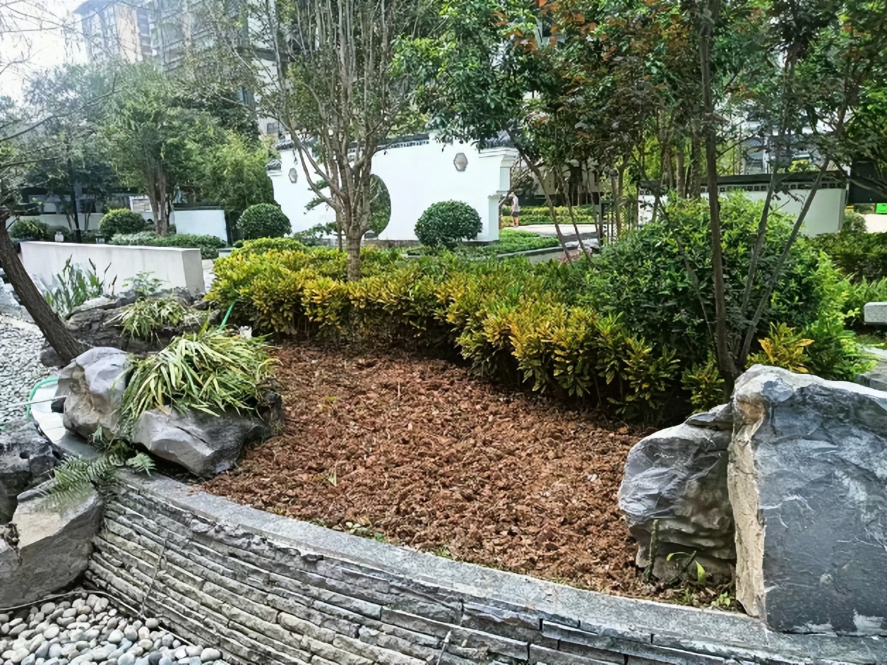 你们的小区绿化都是什么样的,小区绿化你觉得怎么样