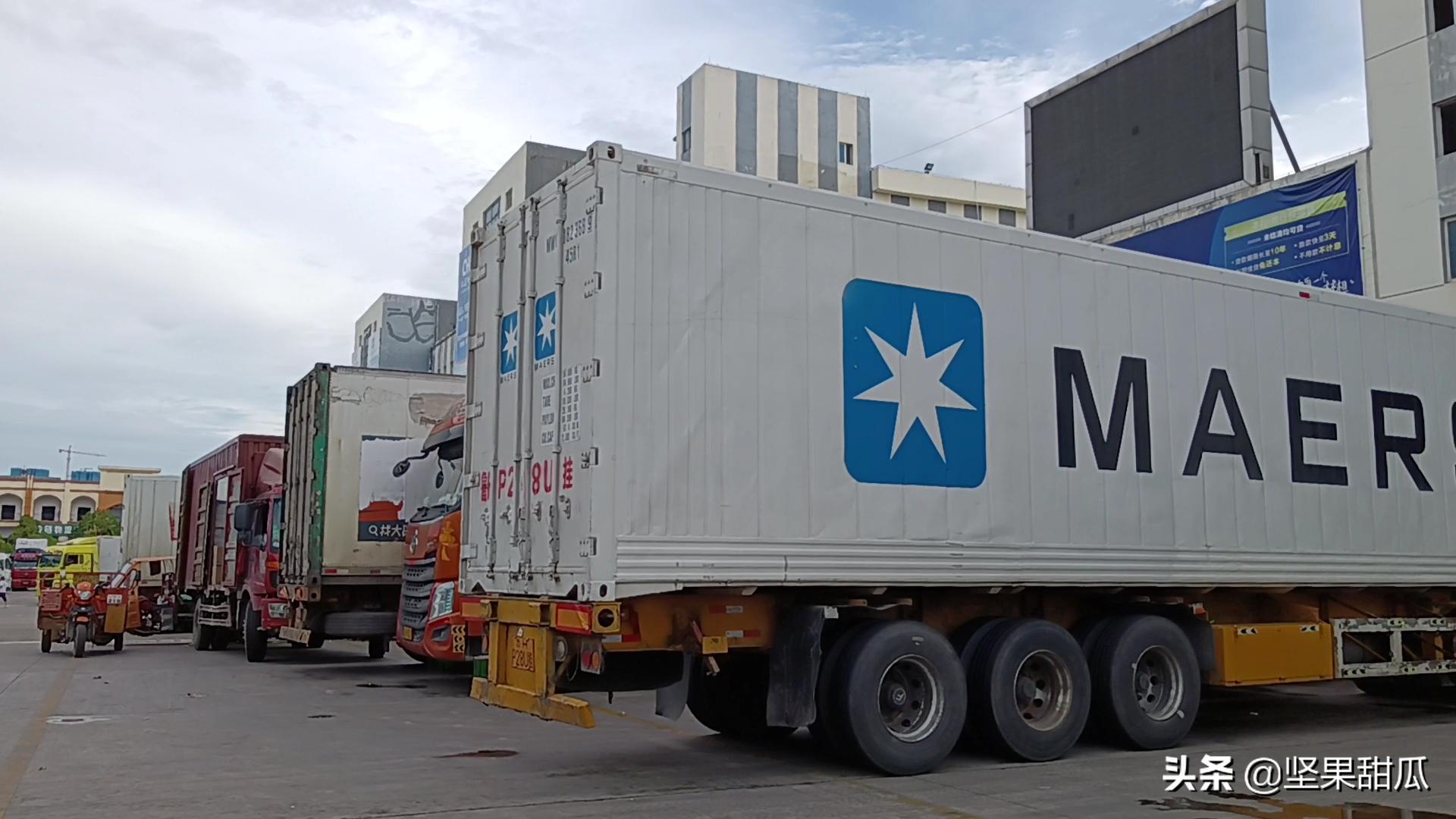 武鸣沃柑喜获丰收,沃柑发展前景最新评论