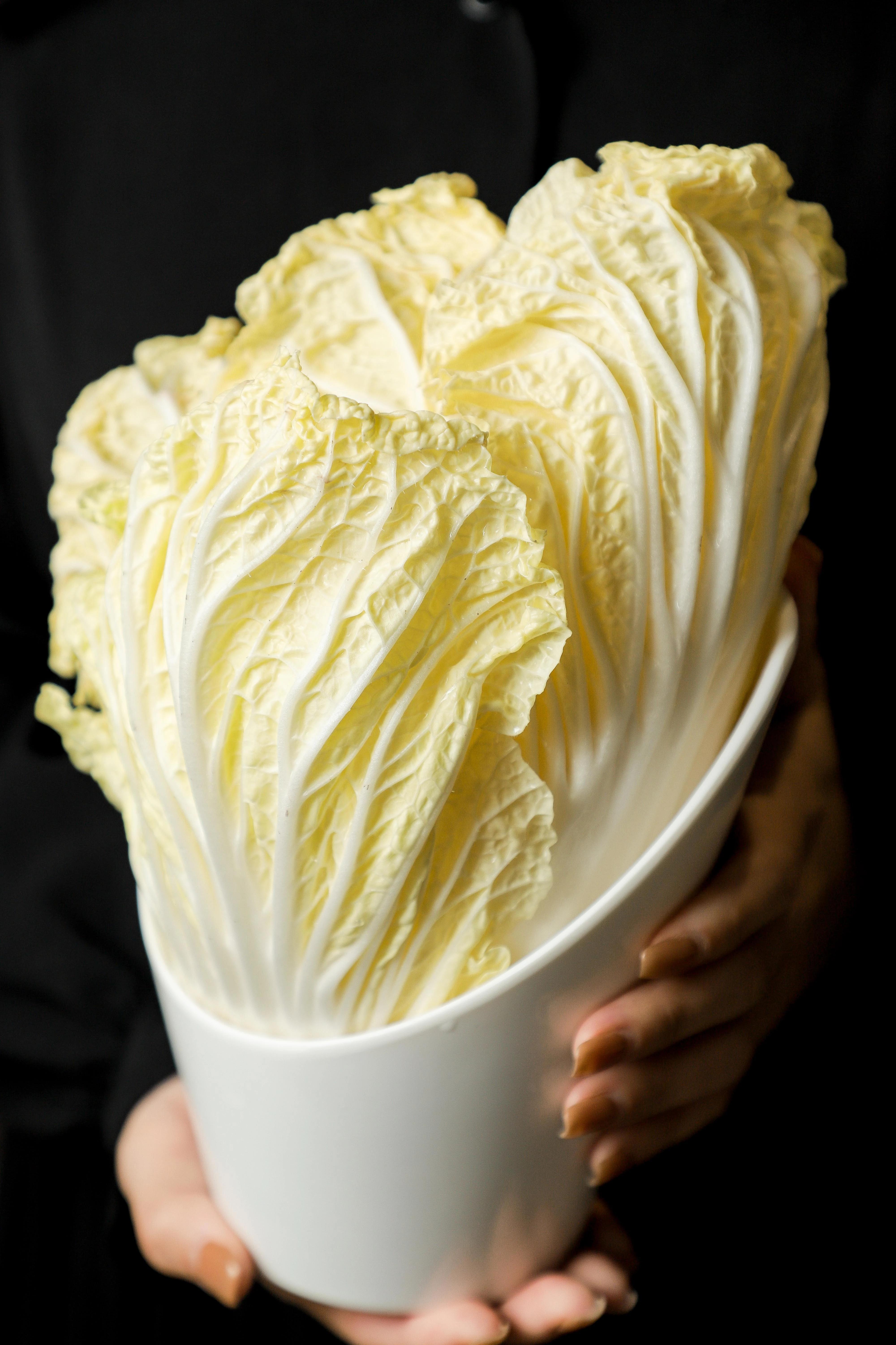 黄岐隐藏在巷子里的老字号,广州黄岐牛杂自助