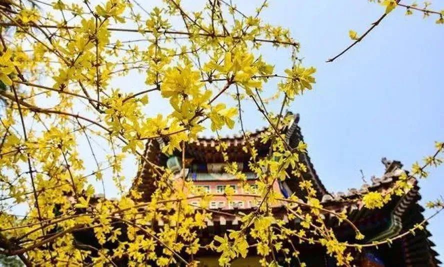 小众公园北京,北京欧式小众公园