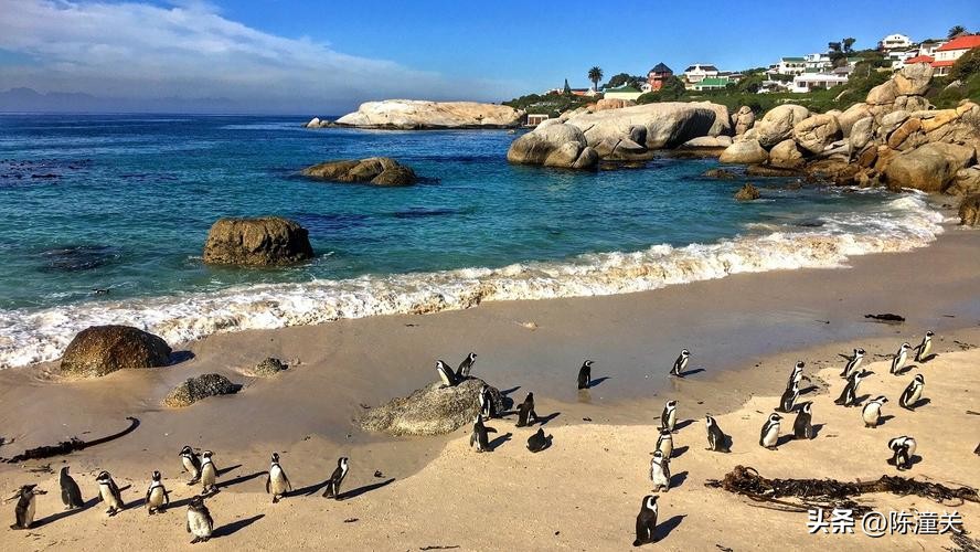 南非，曾经非洲最富裕国家，人口、面积、GDP、军力如何？