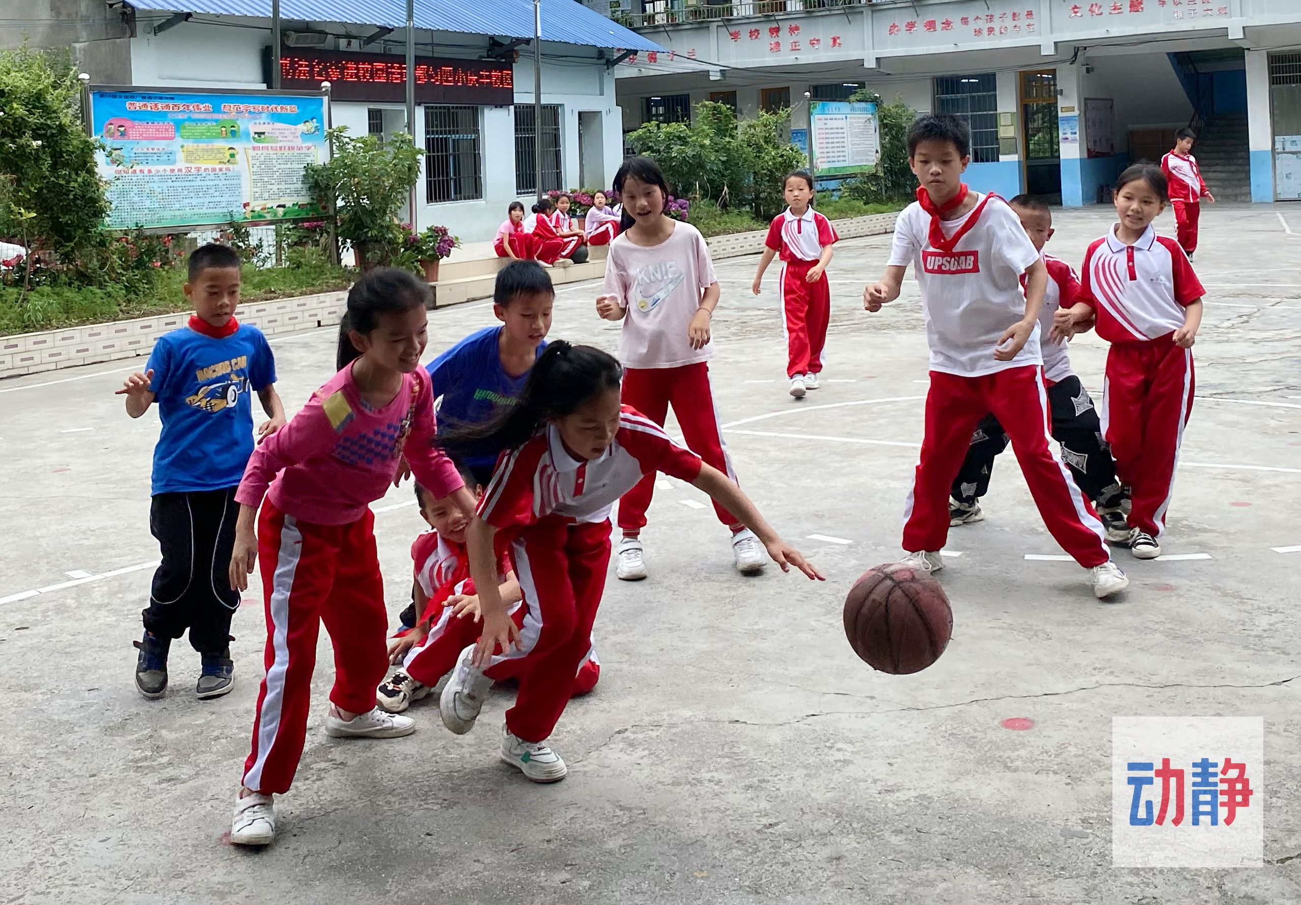 快看！都匀这所小学里有一群“灌篮高手”……