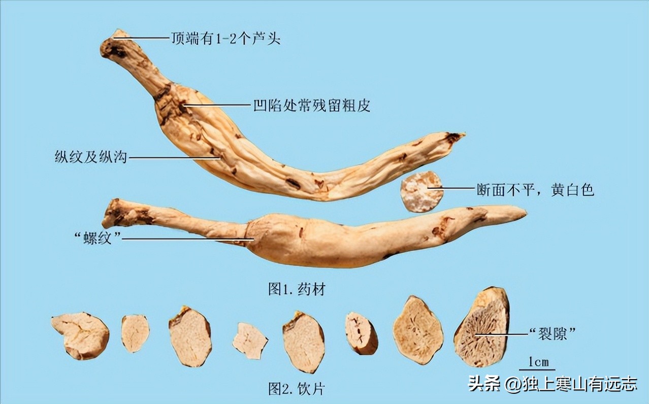 人参的种类和功效大全,人参第一名