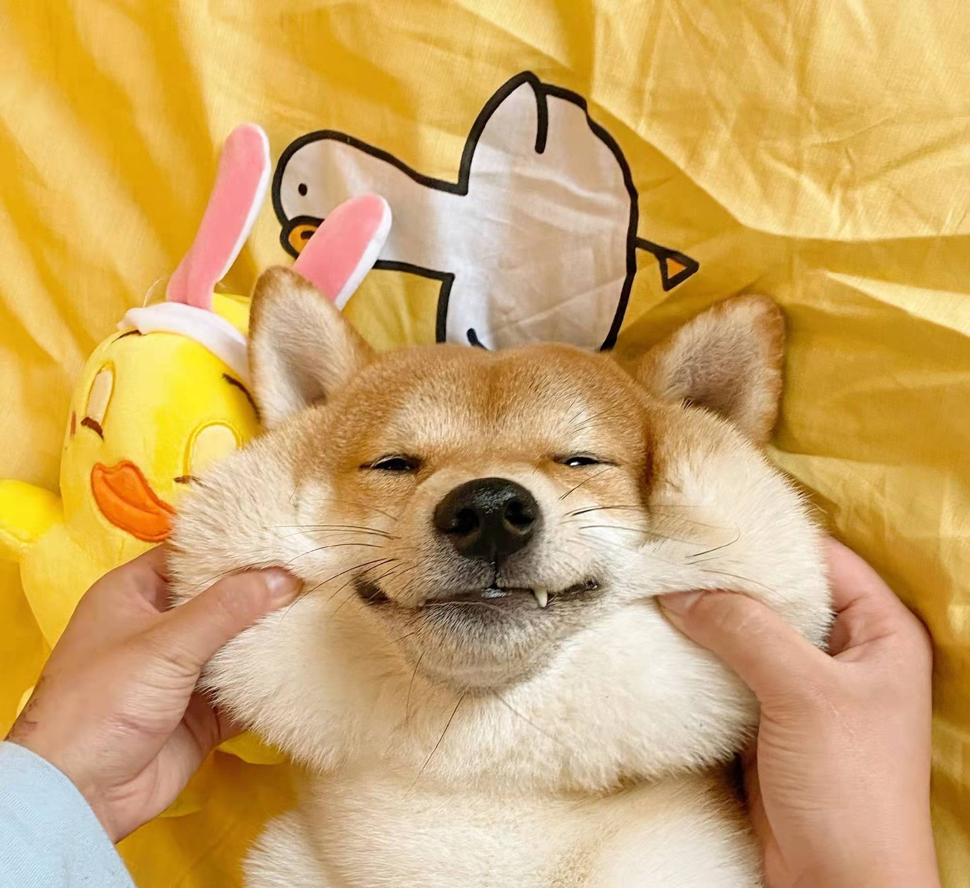 夸人的彩虹屁文案超长沙雕,发自拍搞笑文案沙雕朋友圈