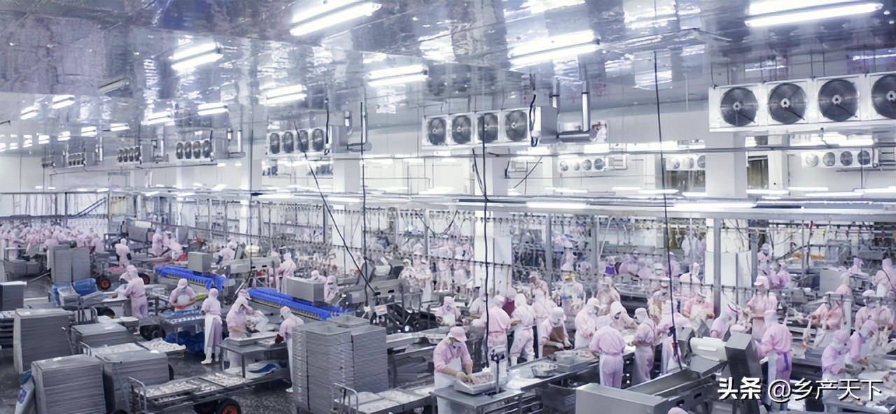 乐寿鸭业厂区,乐寿鸭业饲料