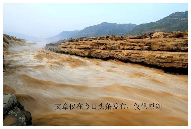 为何动物园不给老虎喂猪肉，吃猪肉有何危害？老虎尸体怎么处理？