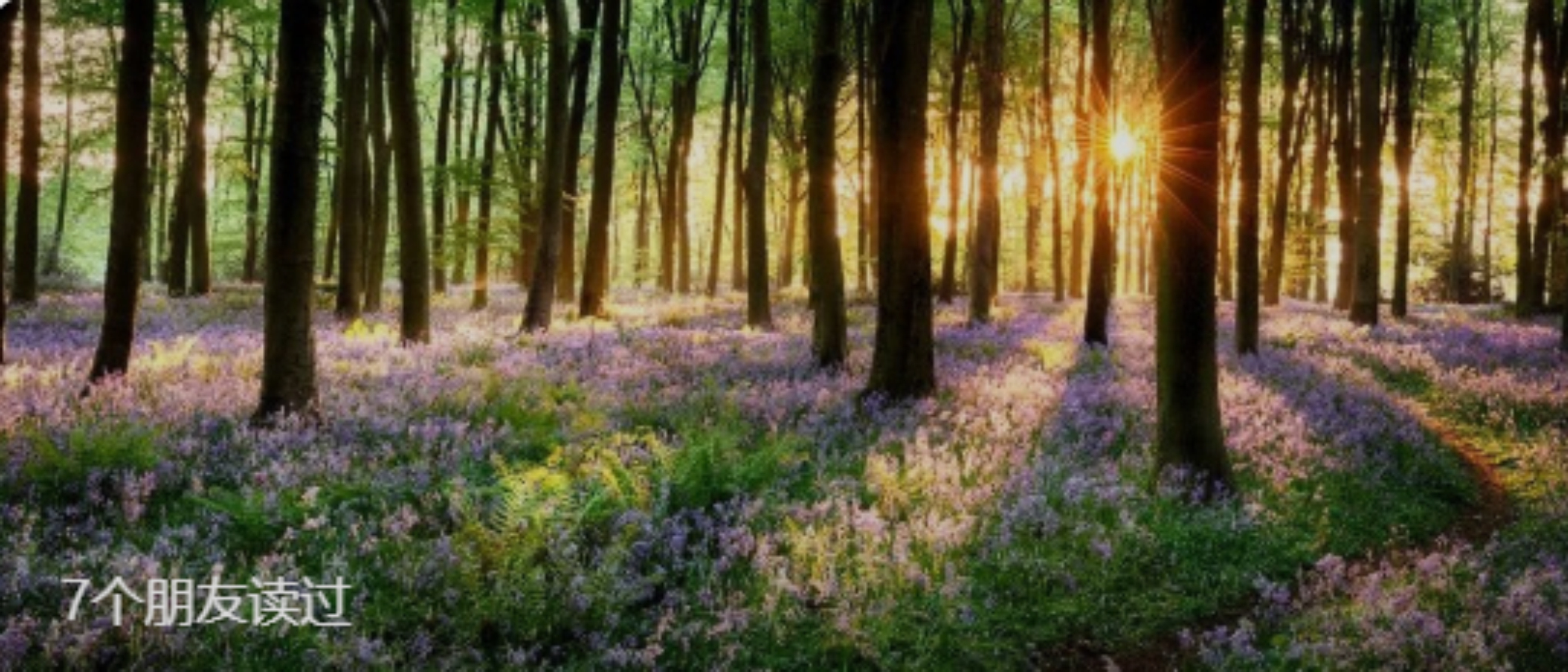 昀知能量记|昀知创业心法（三）——你看不起的微商成就了很多人