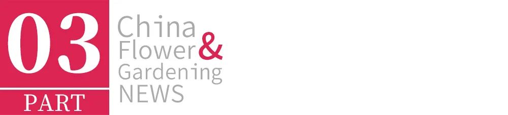 2022年苗市缓缓落幕，谁家欢喜谁家愁？