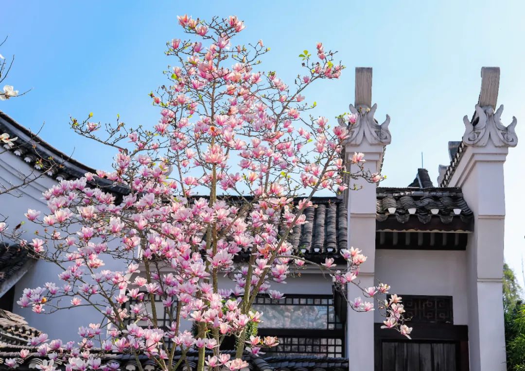 住阳朔应该住哪里的酒店,住阳朔附近哪里比较好