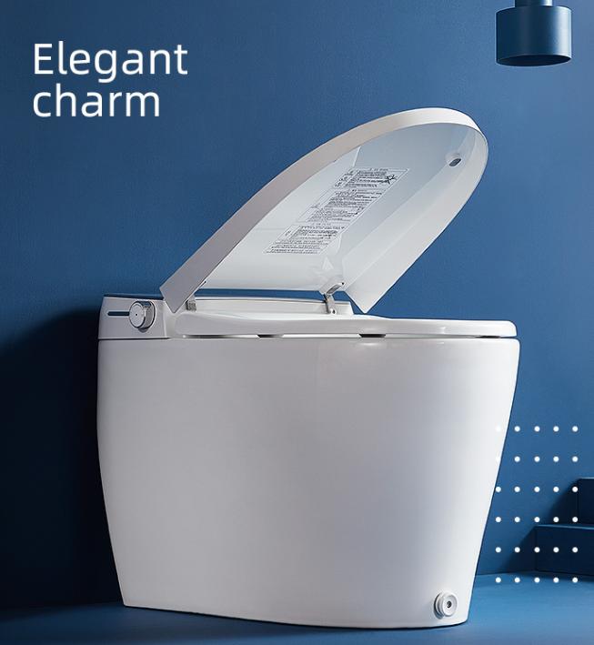 挂壁式智能马桶推荐品牌,洪谷智能马桶是几线品牌