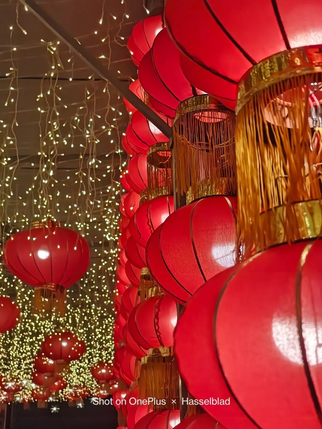 一加11拍照到底怎么样最新评测,一加11拍照远摄表现