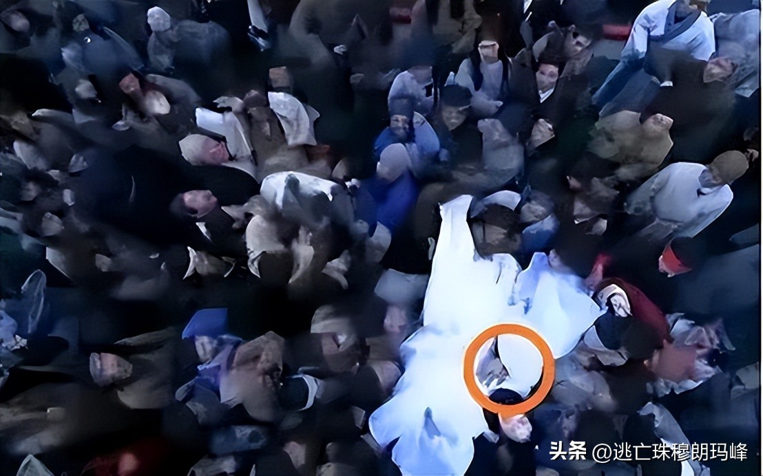 娱乐圈中被骗得最惨的女明星,娱乐圈里有哪些假戏