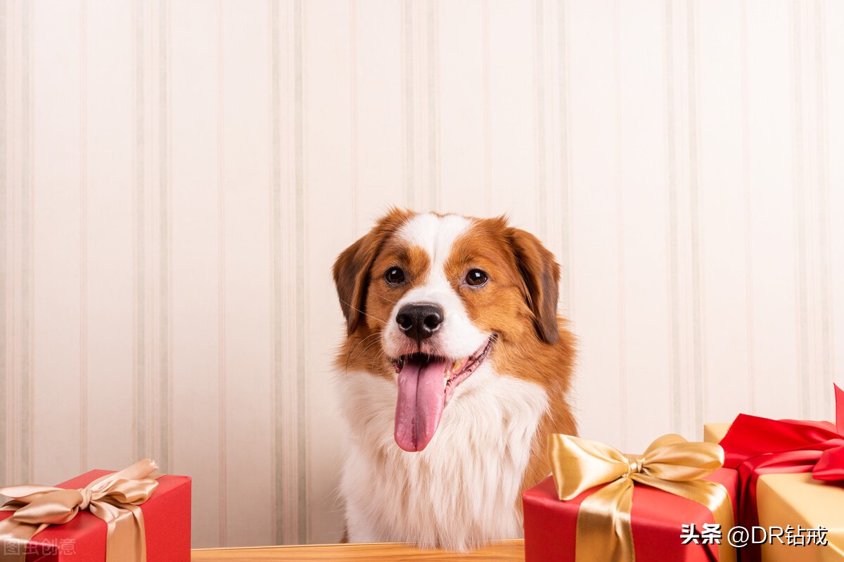 感恩节给女朋友准备什么礼物,感恩节最好的礼物送女朋友