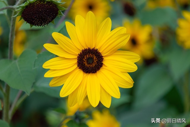 手工制作夏凉夹被,旧被罩做小手工