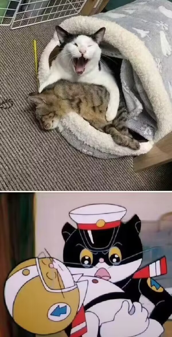 都蚌埠住了，动漫角色撞脸大乱斗，新图老梗一起乐~