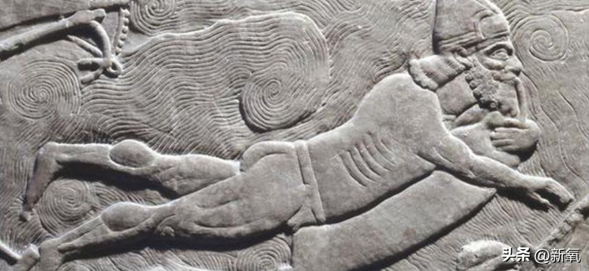 徐娇发泳衣照引热议,徐娇回应泳裤女装照争议