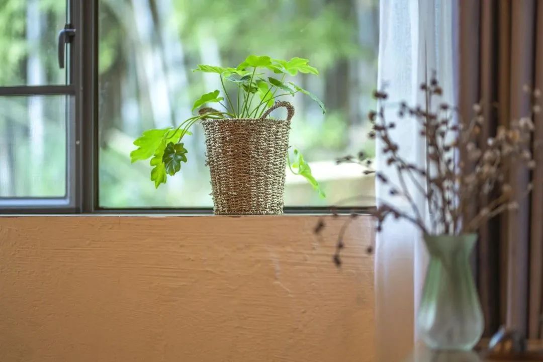 增城网红民宿别墅,增城最美花园亲子民宿