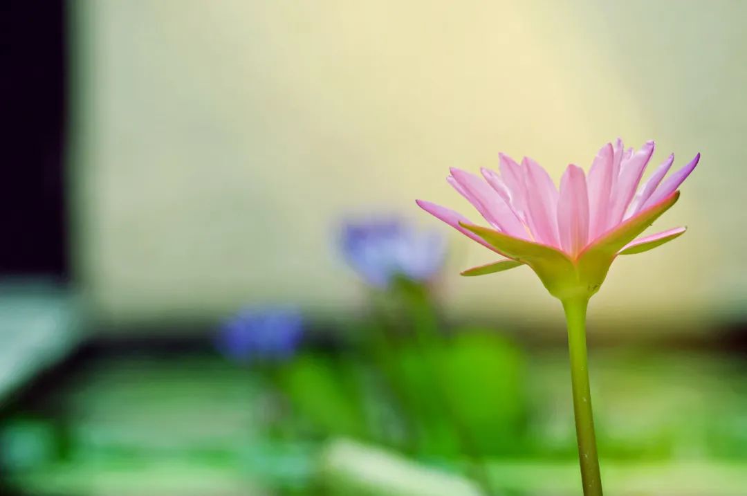 有本事的人别得罪这三种人,人再有本事不要得罪帮过你的人