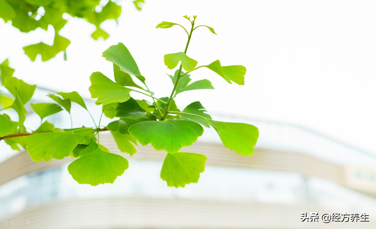 中医养生亚健康防治心得,中医调理身体亲身经历