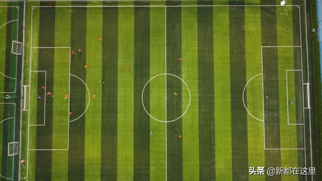 如果城市有颜色重庆,如果城市有颜色作文