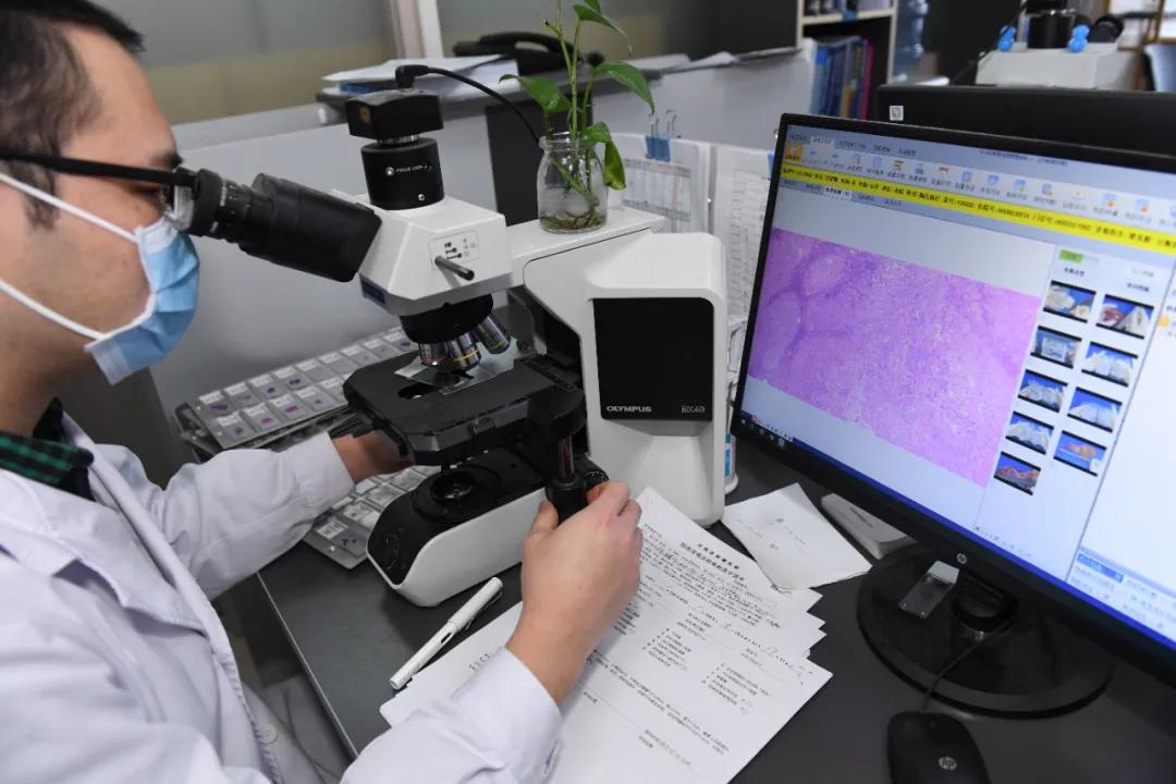 活体病理切片是什么,探访医院病理科