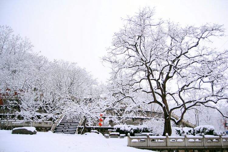 初冬七绝古诗词,初冬最好的七绝古诗