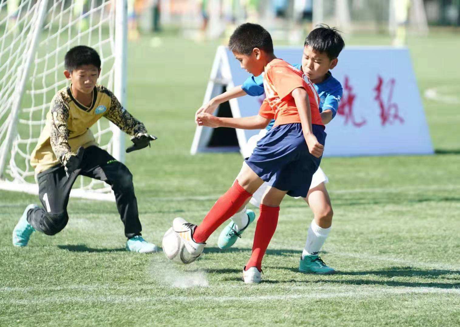 edg夺冠年轻人,edg夺冠国足夺冠