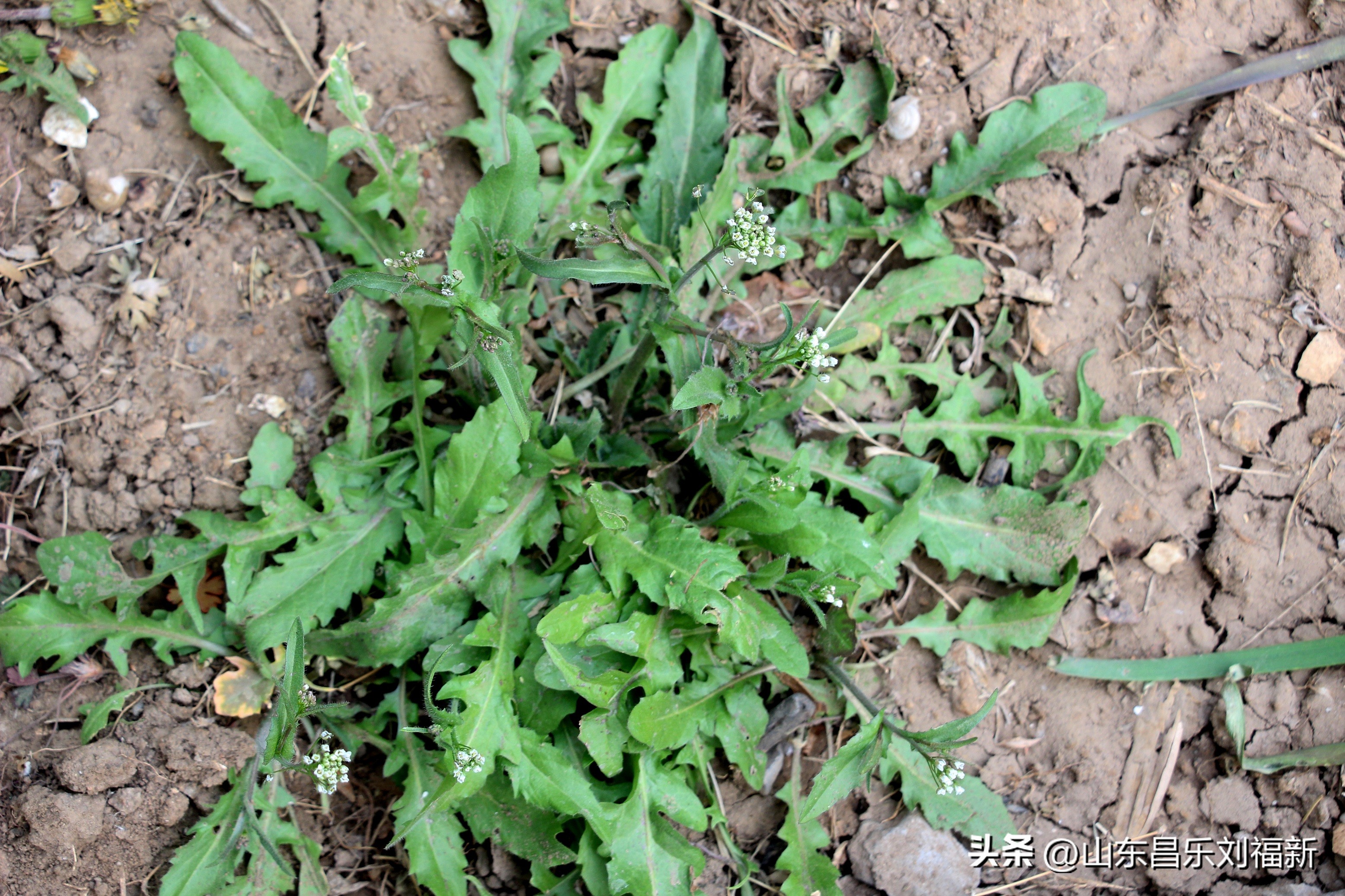 2023年3月中旬散拍·一点儿感受