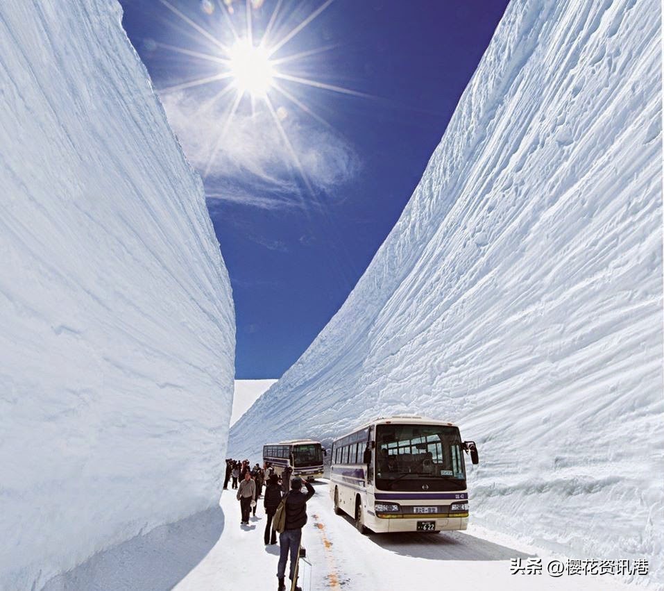最新日本旅游攻略自由行,日本春天去哪里旅游最好