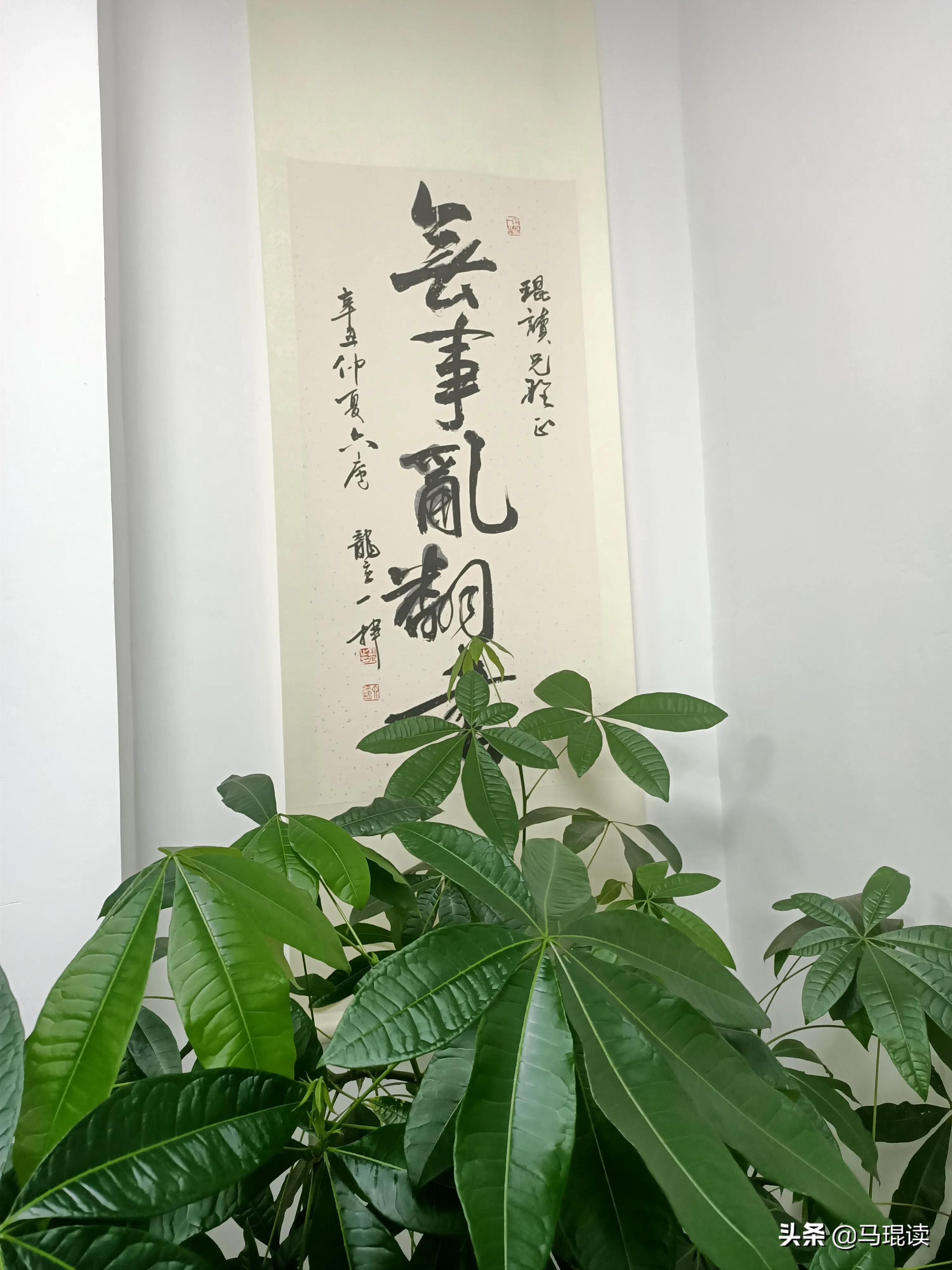 财务没弄透就不要搞餐饮创业了，继续上班吧？