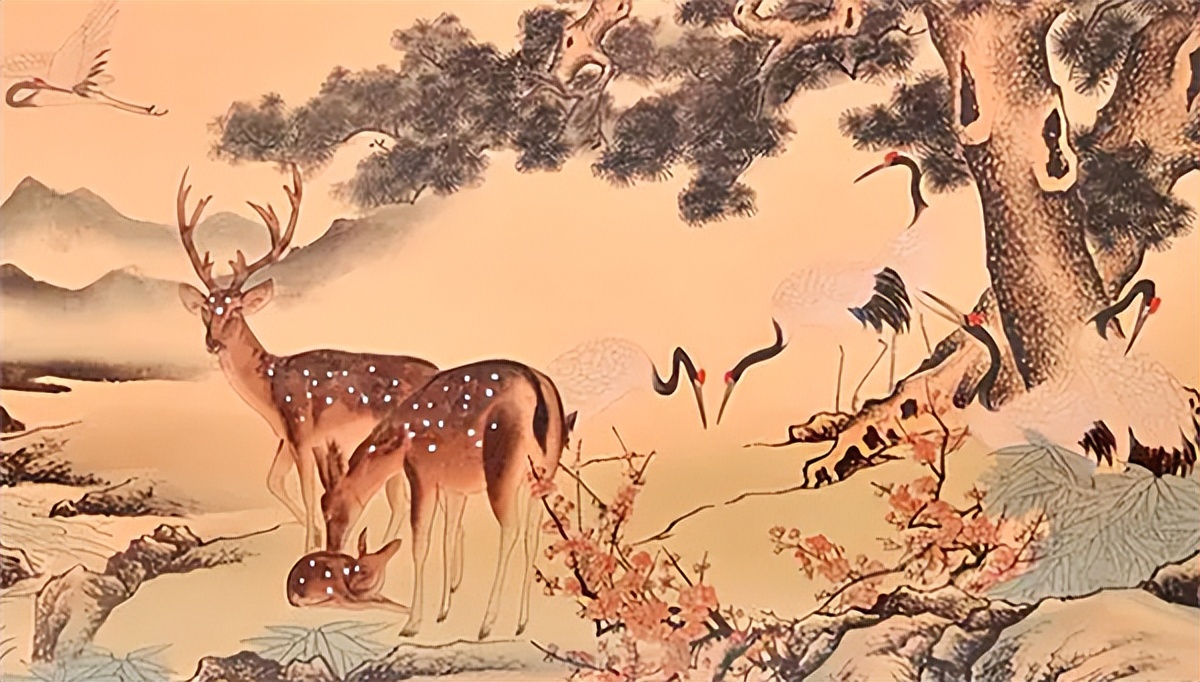 家中致富放哪四物,家中放四物越过越旺