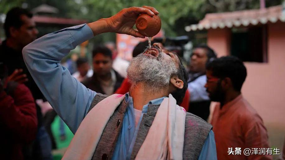 印度教徒喝牛尿能杀病毒吗,印度人用牛尿泡牛粪