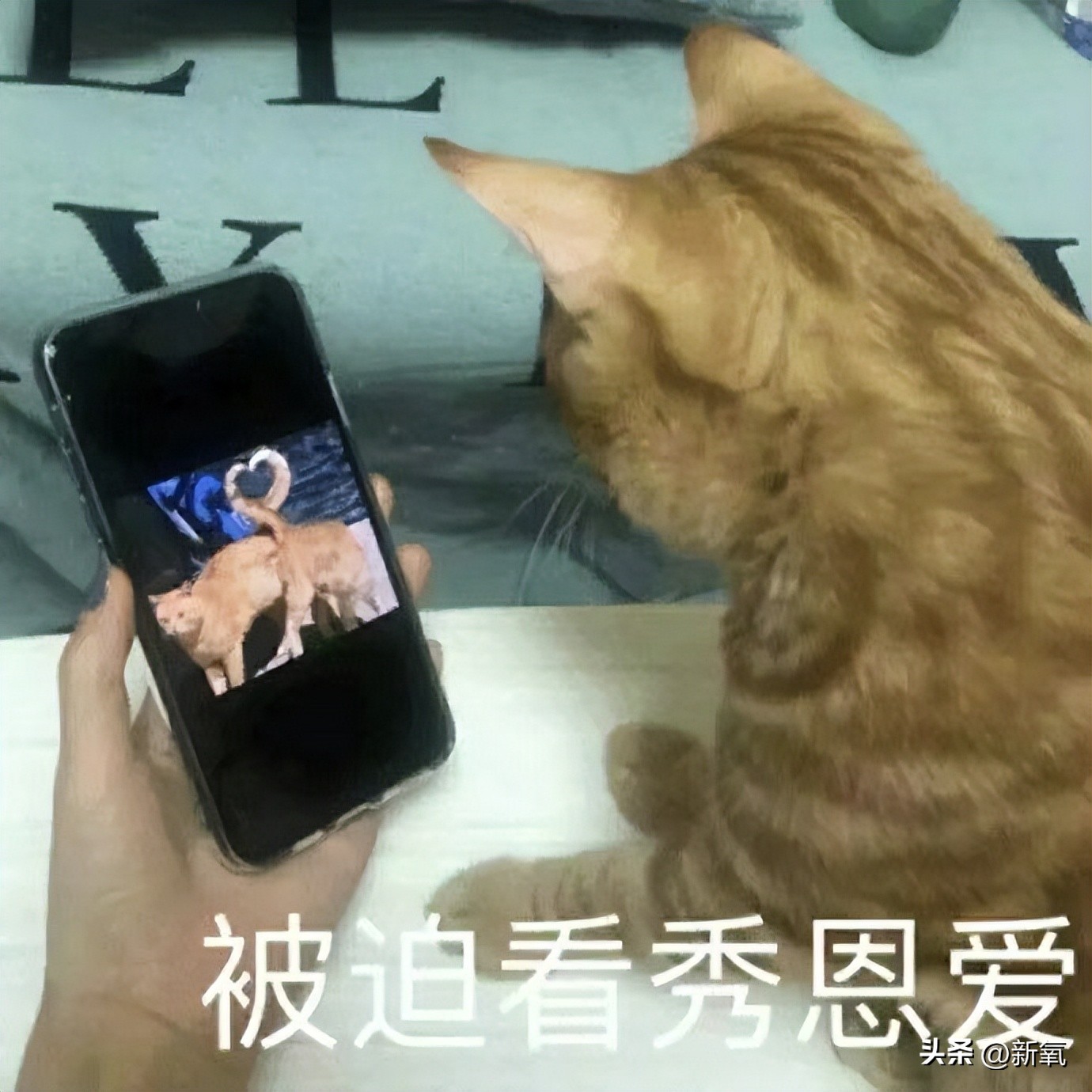 如何好好说话掌握说话技巧,日常各种经典场合的说话技巧