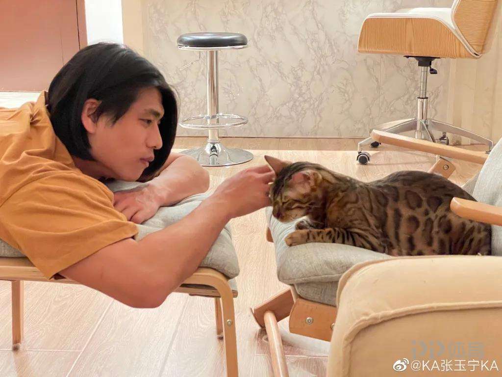 张玉宁成名过程,张玉宁或将再次留洋