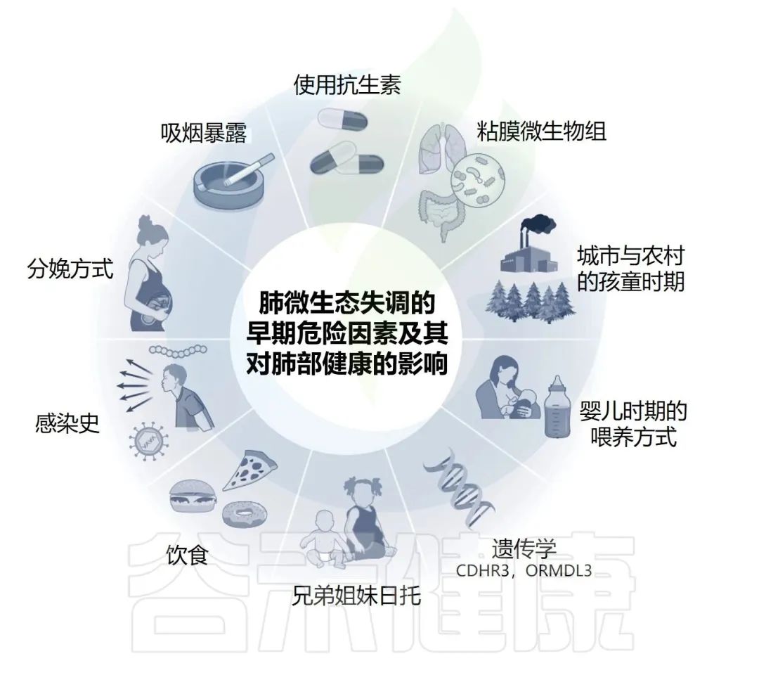 早期呼吸道感染和免疫发育决定终生肺部健康
