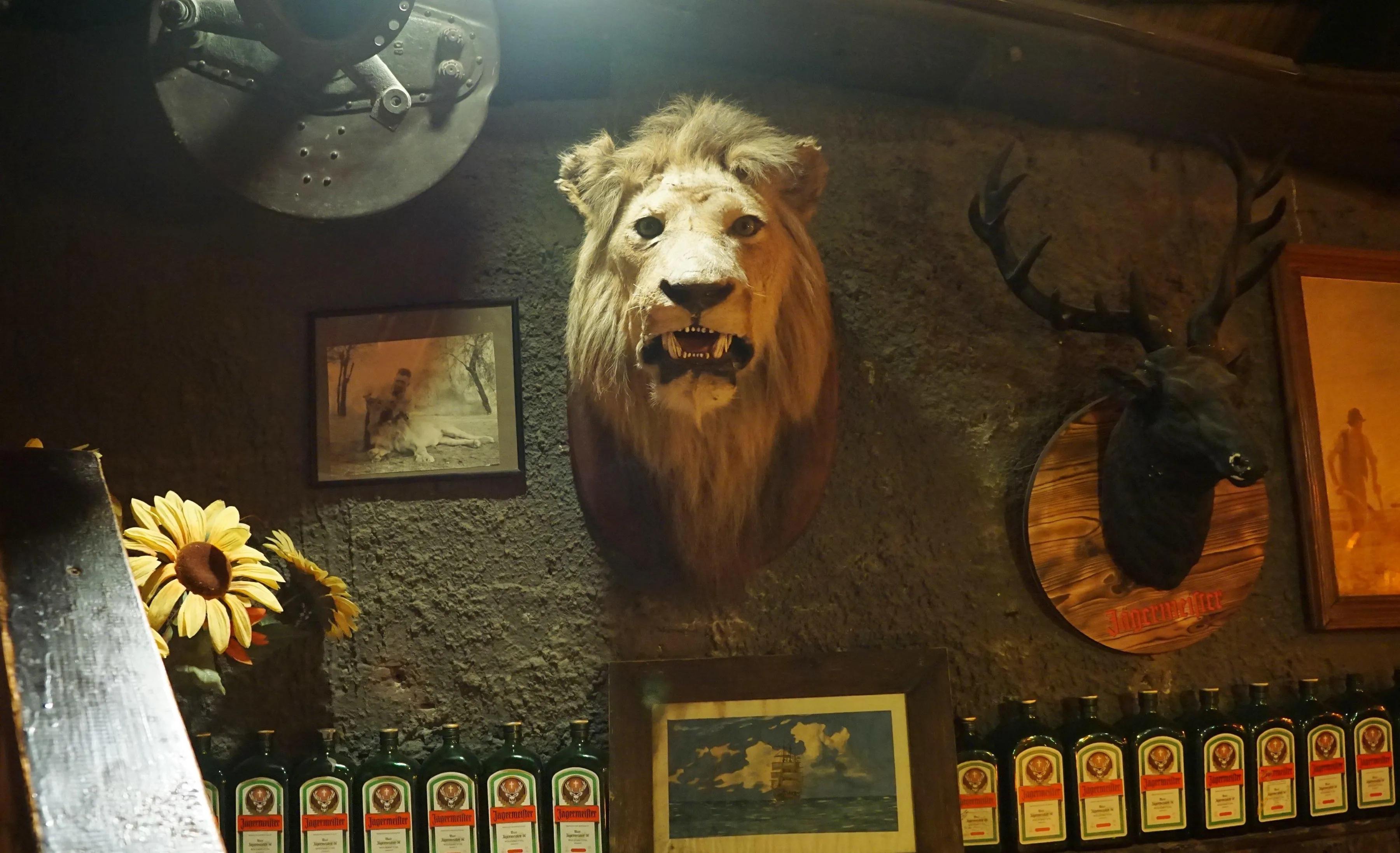 绾崇背姣斾簹绾㈣壊娌欐紶,绾崇背姣斾簹娌欐紶涔嬫梾