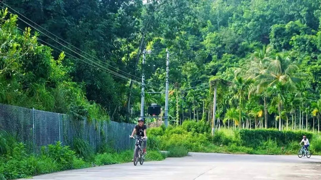 最高奖金3万元！三亚天涯区这场大赛向你发出邀请