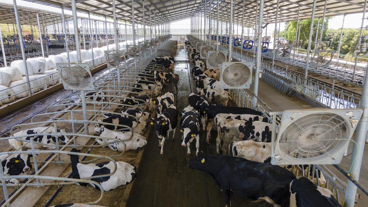 奶牛养殖场建设的标准是,奶牛养殖小区管理