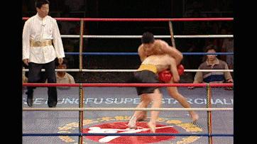 中国四位顶级职业散打王视频,2000中国散打王十大名将