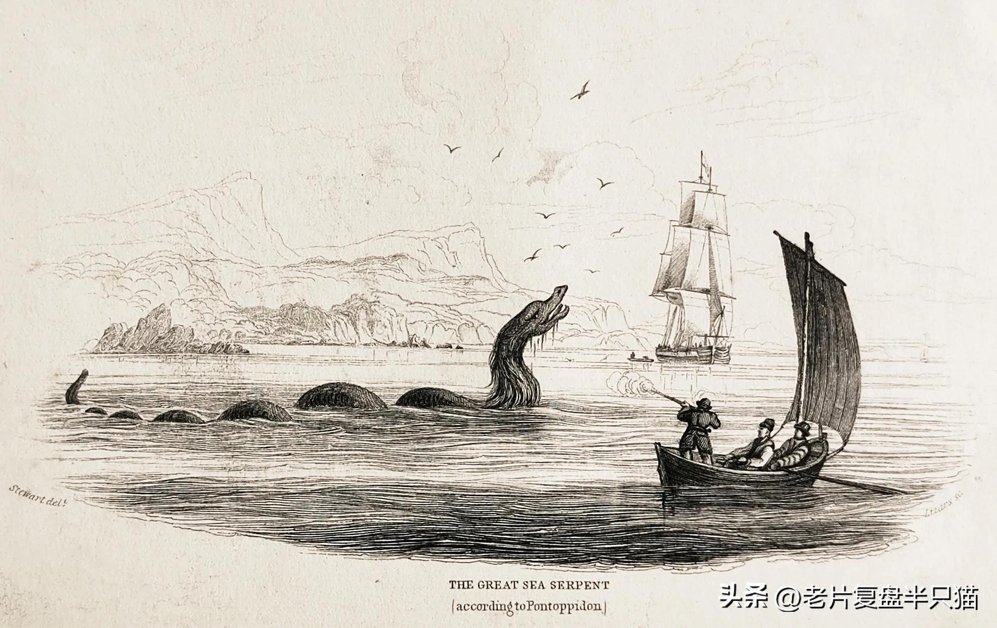 哥斯拉20个泰坦解析,哥斯拉2泰坦巨兽彩蛋