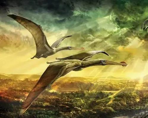 会飞的恐龙分别都是什么样子,会飞的恐龙大全