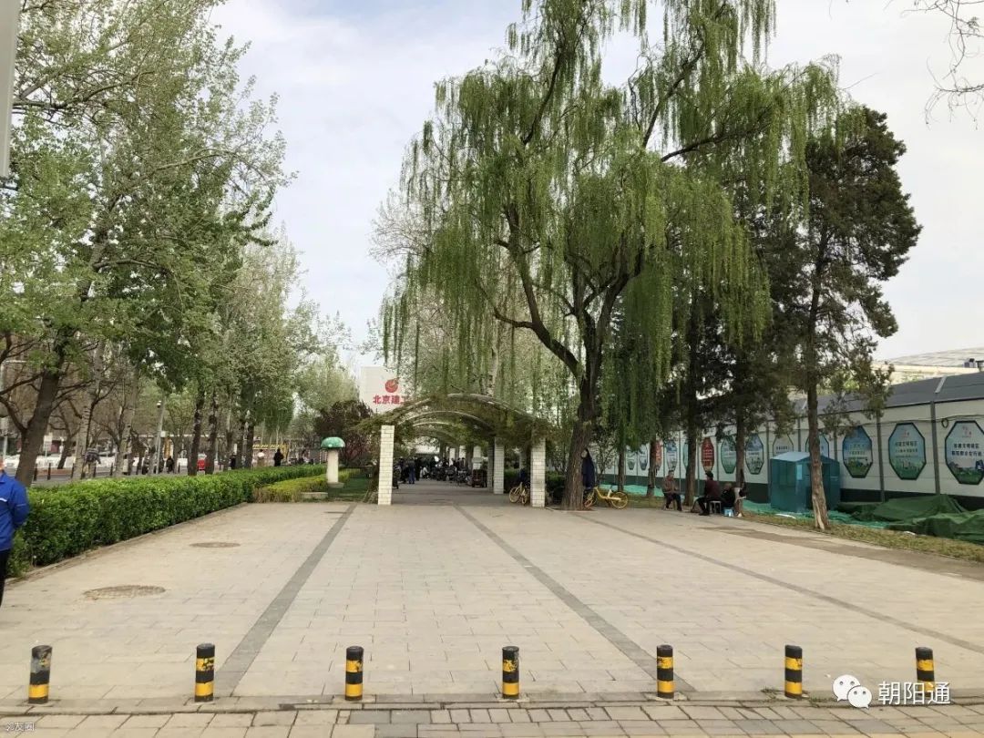 工体改造复建最新进展,工体最新照片