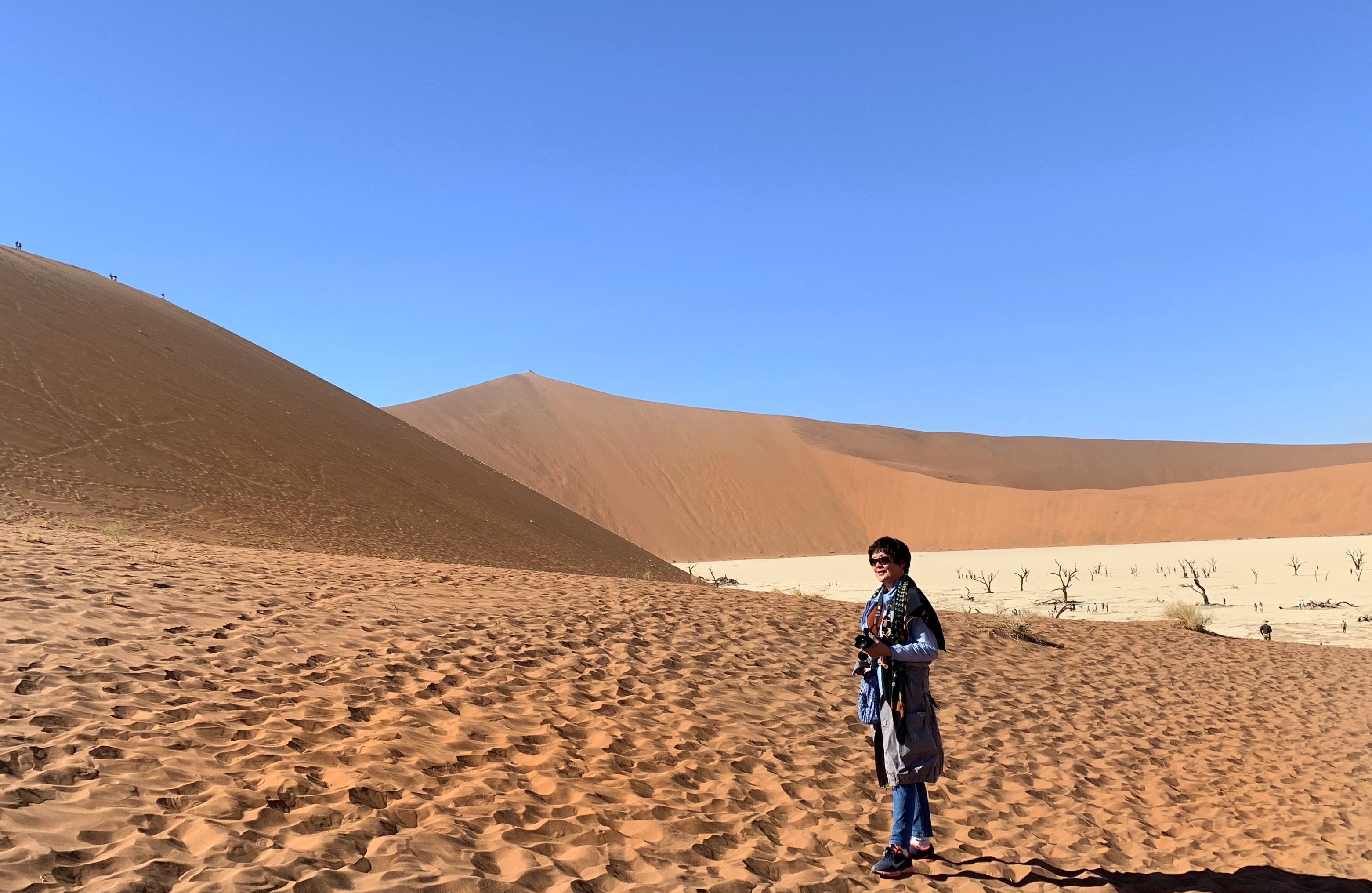 绾崇背姣斾簹绾㈣壊娌欐紶,绾崇背姣斾簹娌欐紶涔嬫梾