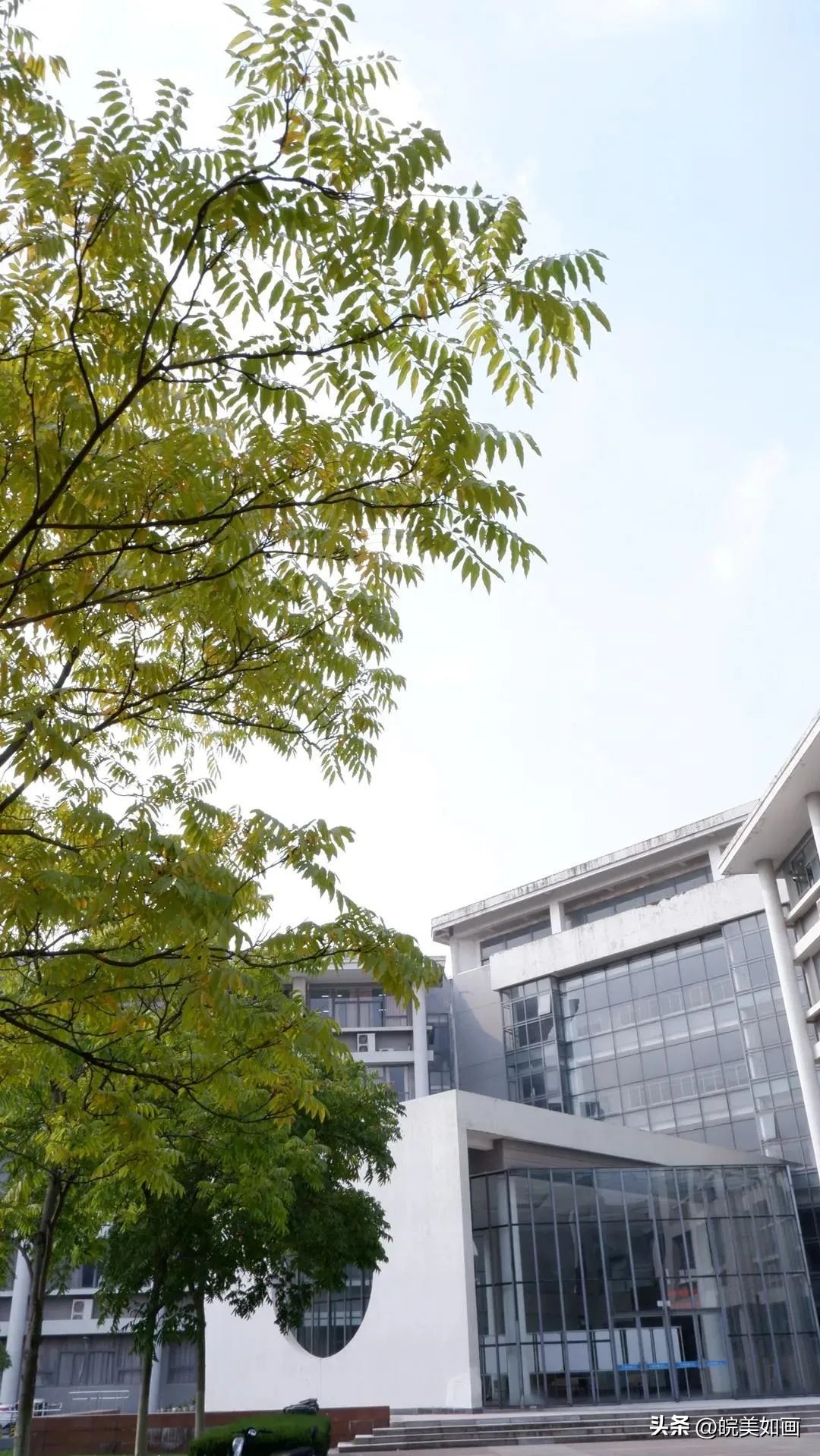 安徽大学好看的风景,高校最美秋景