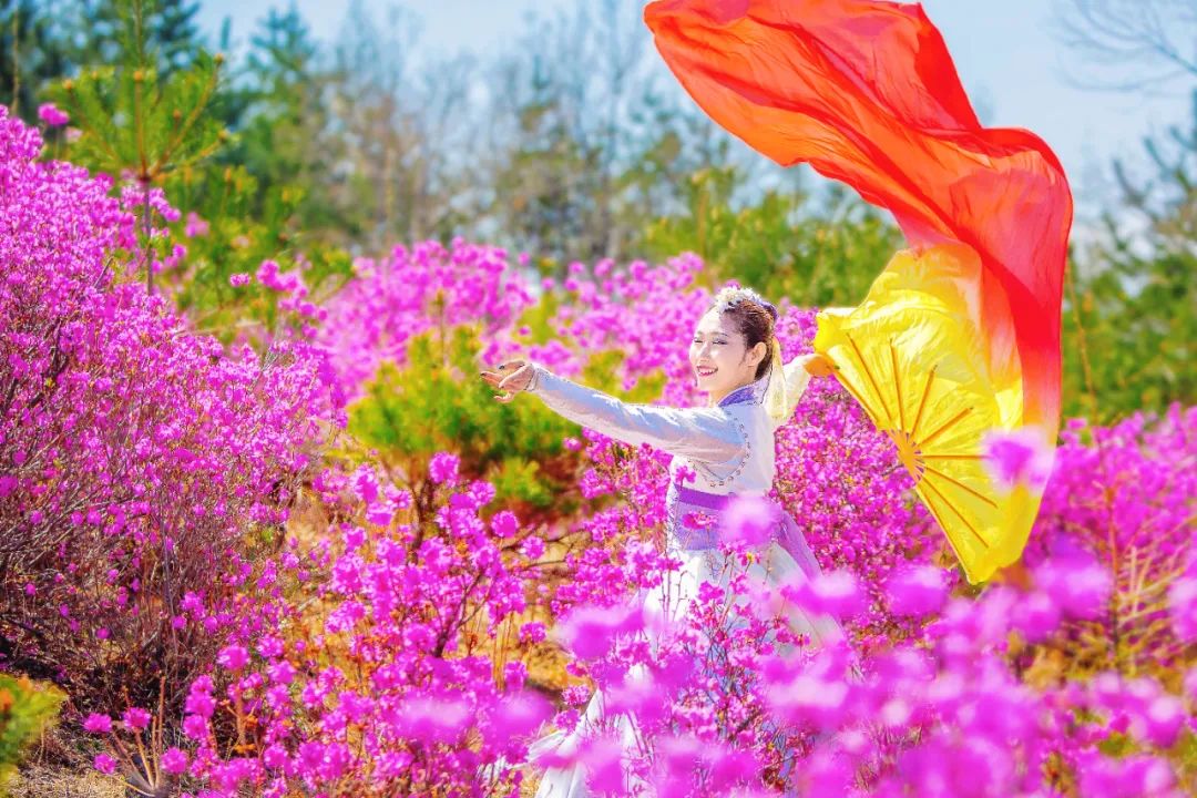 犇福金达莱地址,犇福农场金达莱多吗