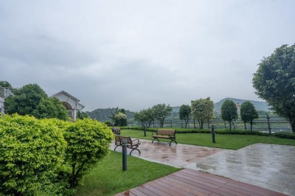 美食与美景交织,端午来顺德畅玩一夏