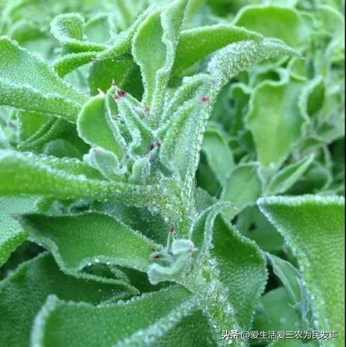 中年女人创业适合什么项目,中年创业项目推荐